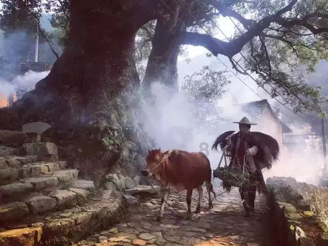 探索神秘小屋